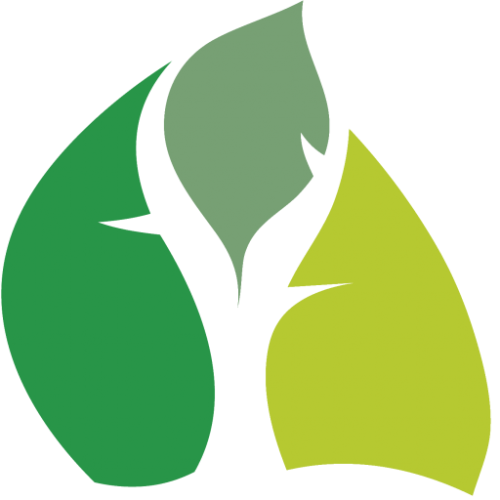 vt-logo